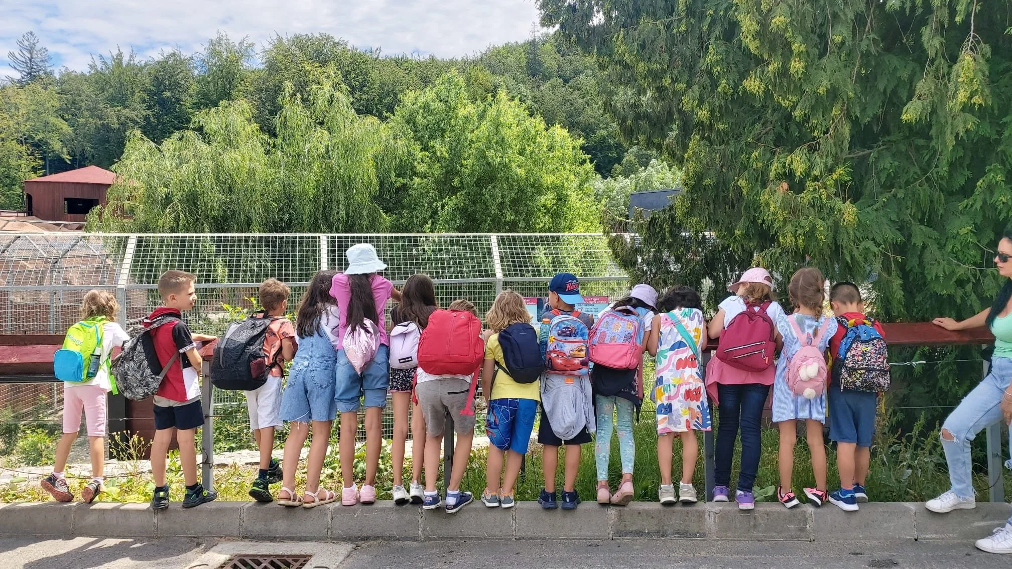 La zoo